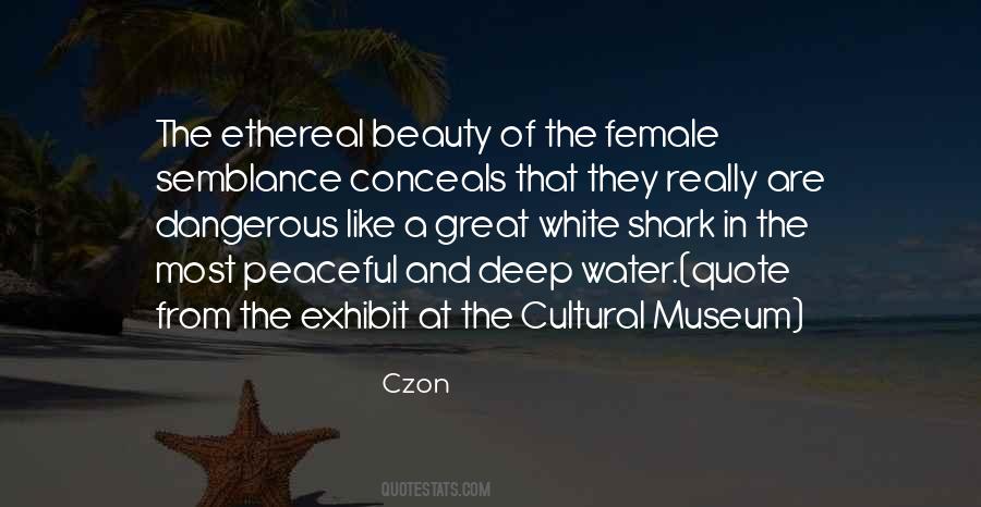Charm And Beauty Quotes #806339