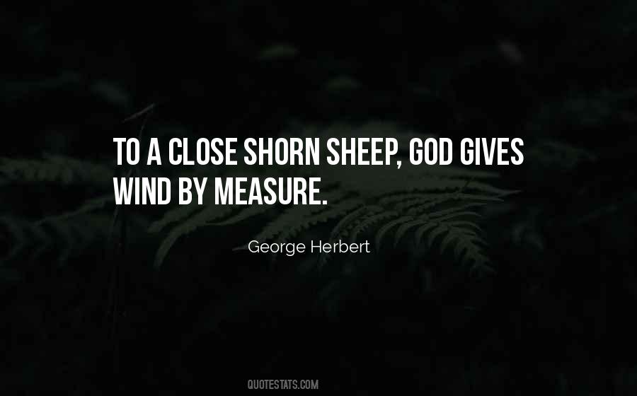 Shorn Sheep Quotes #1066202