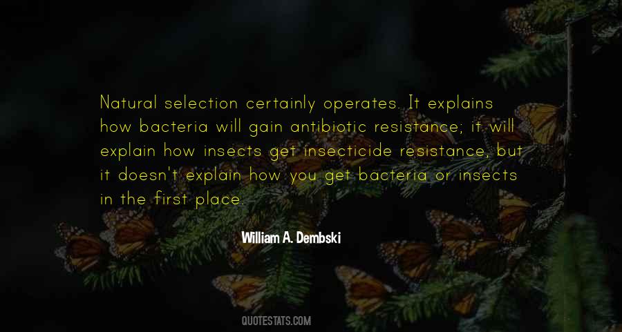 Quotes About Insects #1255388