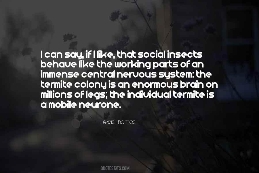Quotes About Insects #945655