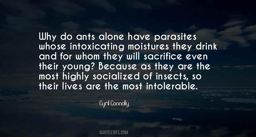 Quotes About Insects #957869