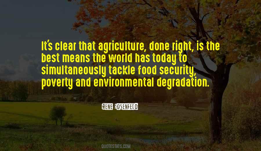 Quotes About Food Security #954256