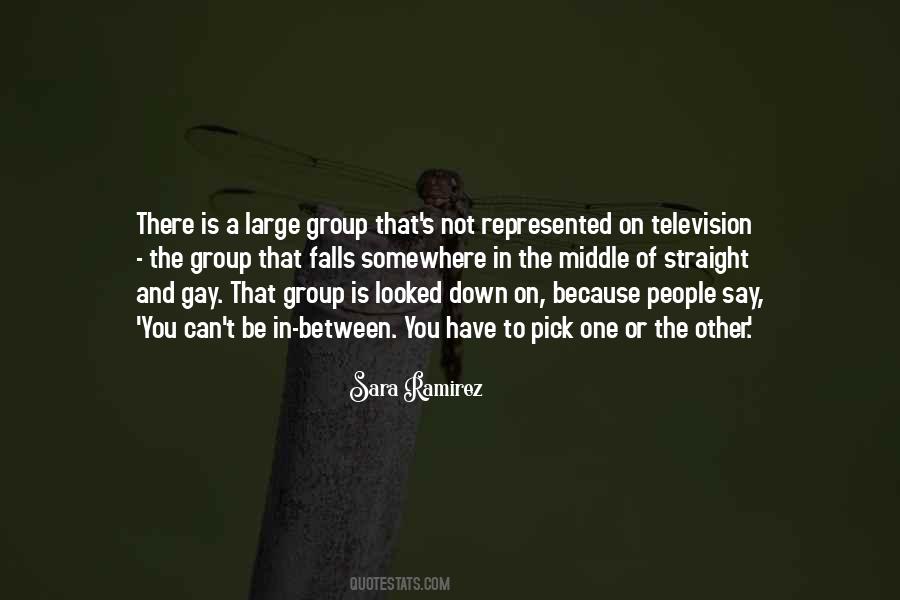 Gay And Straight Quotes #733552
