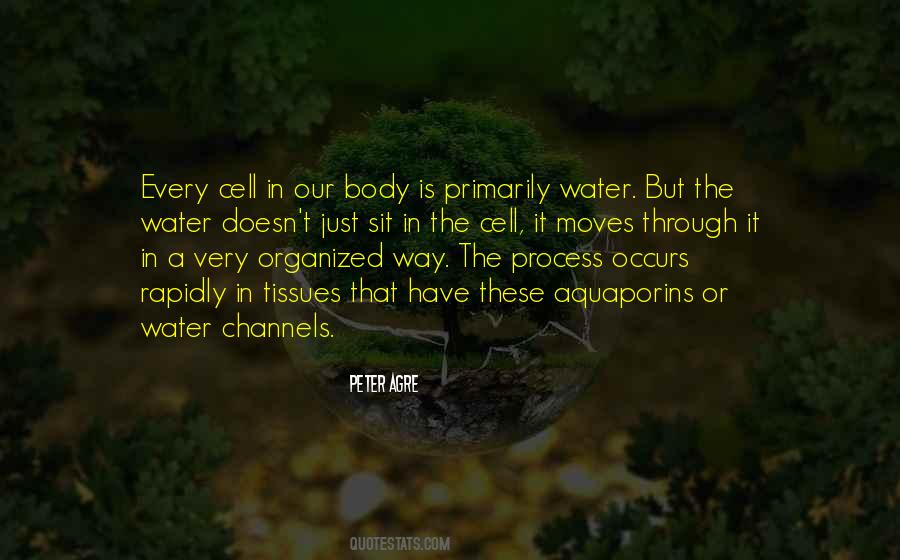 Quotes About Oil And Water #16858