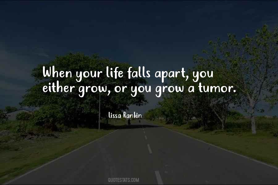 When Your Life Falls Apart Quotes #1293213