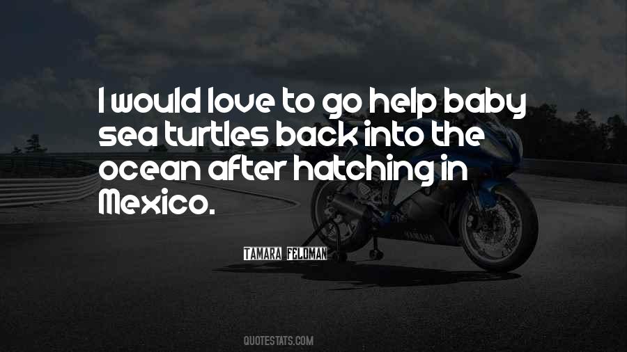 Baby Sea Turtles Quotes #672242