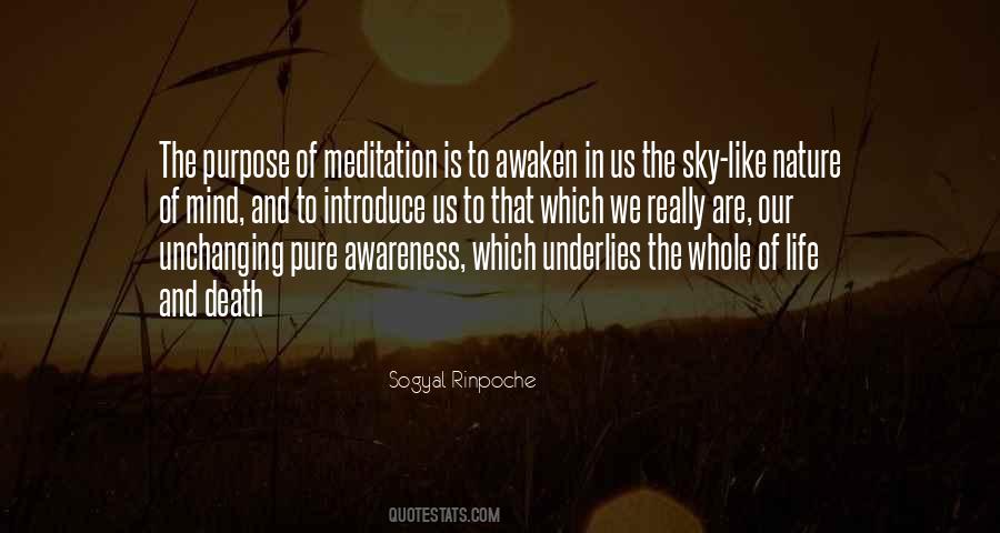 Quotes About Awareness Of Death #1517450