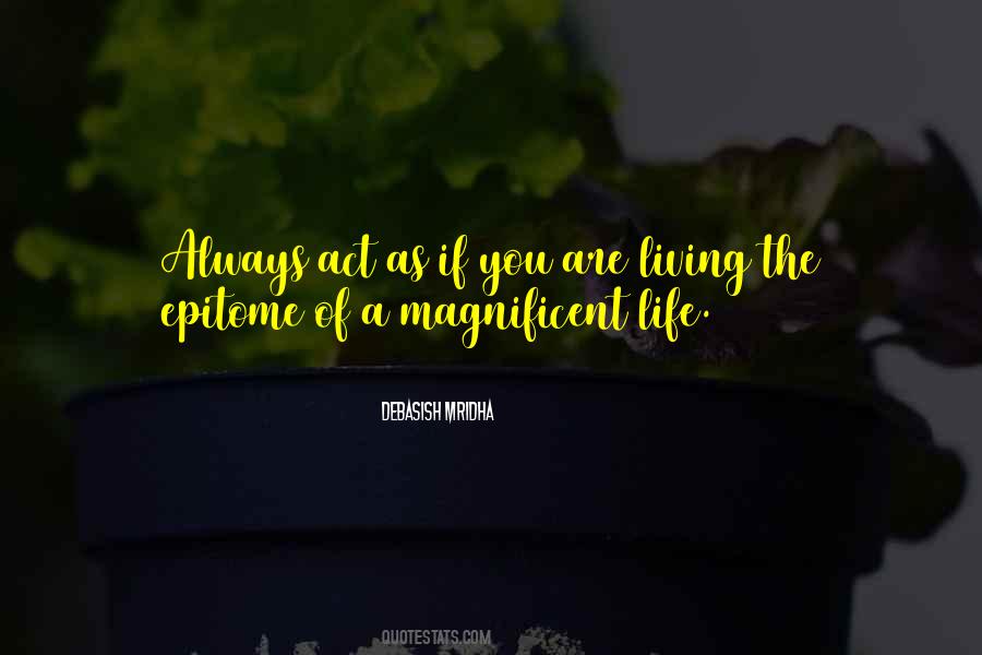 You Are Magnificent Quotes #1145293