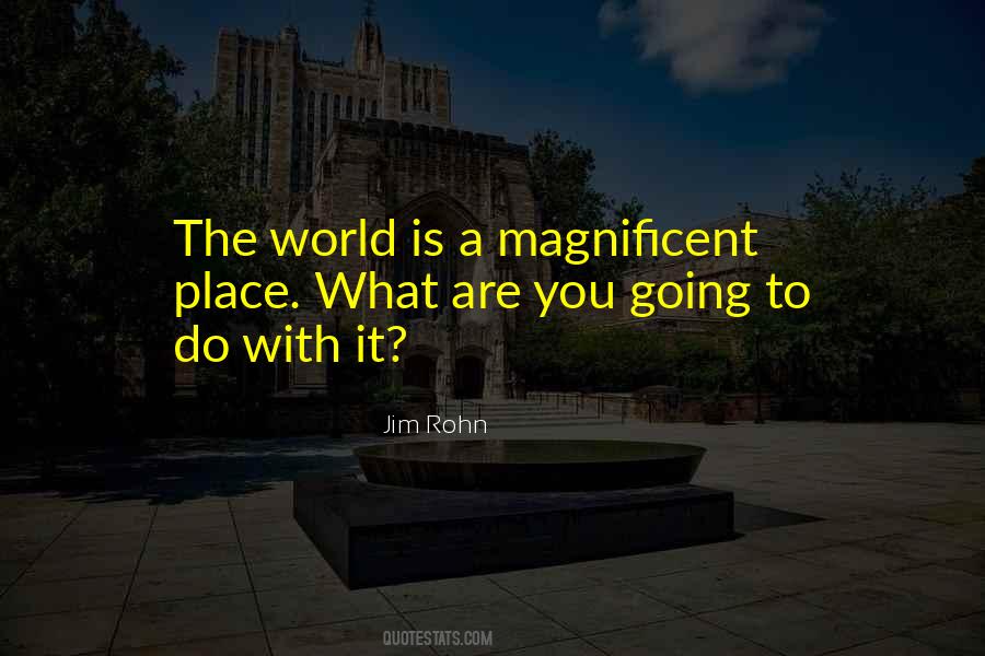 You Are Magnificent Quotes #1435495