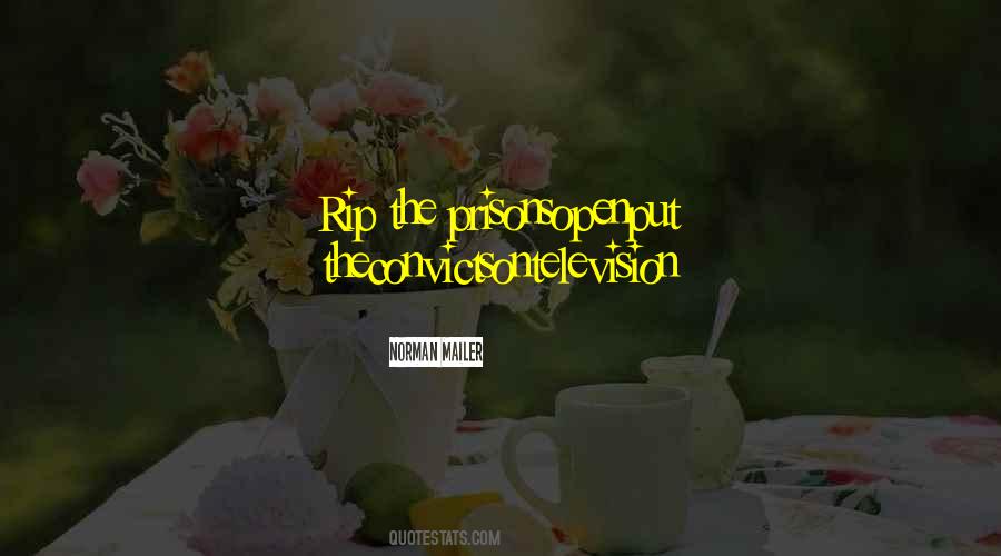 Us Usa Quotes #53925