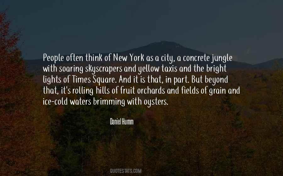 Quotes About City Lights #1167973