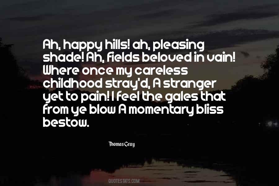 Momentary Bliss Quotes #354904