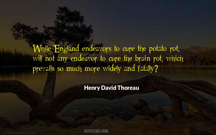 David The Quotes #5447