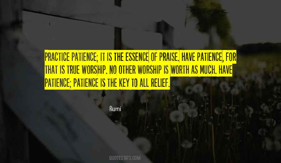 Patience Is Quotes #1282008