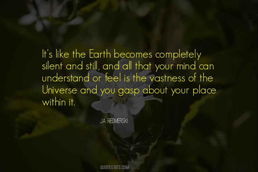 Vastness Of The Universe Quotes #1682053