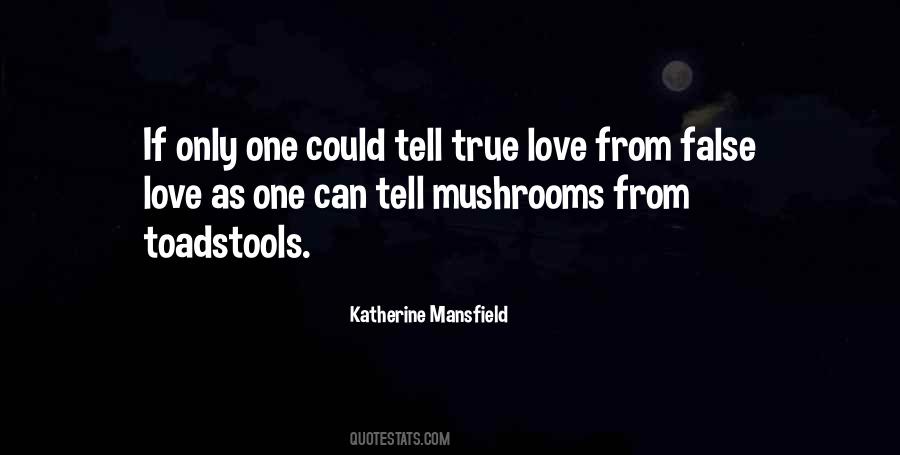 Quotes About False Love #893976