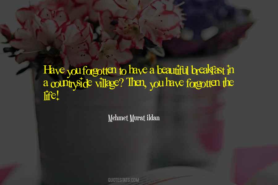 Quotes About A Beautiful Life #166825