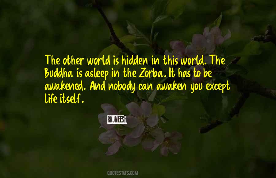 Quotes About Hidden Worlds #21815