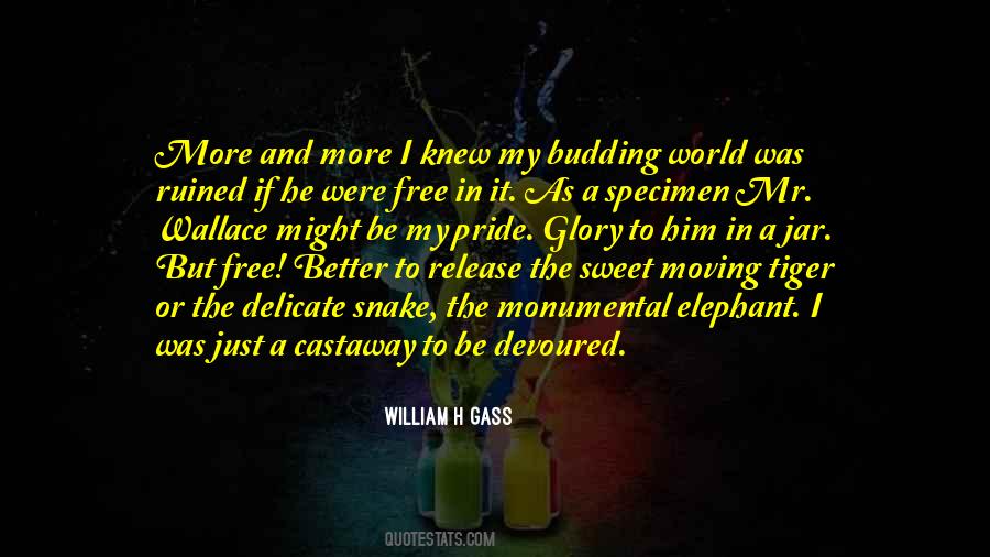 The Specimen Quotes #1809065