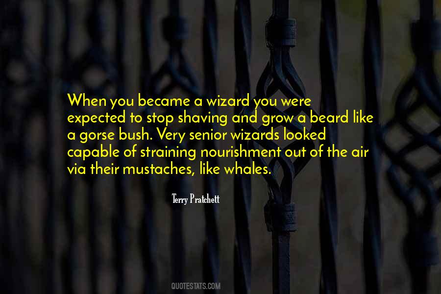 Pia Wurtzbach Inspirational Quotes #1625425