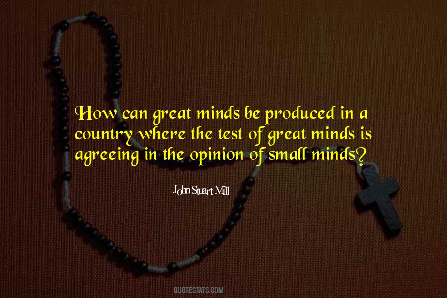 Quotes About Great Minds #1550176