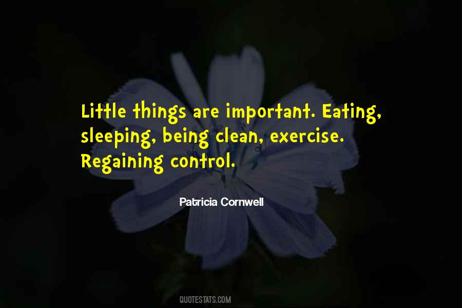 Quotes About Little Things #1184149