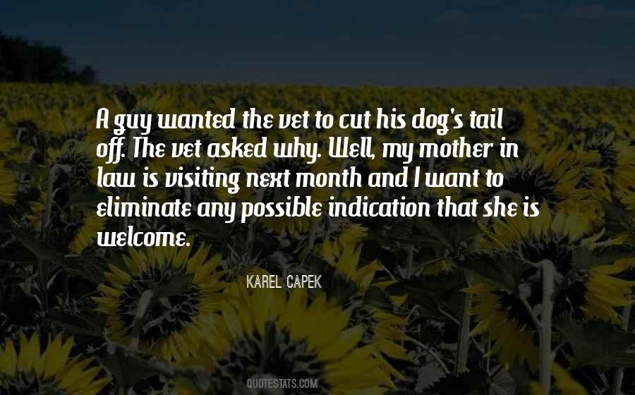 Quotes About Visiting #1213378