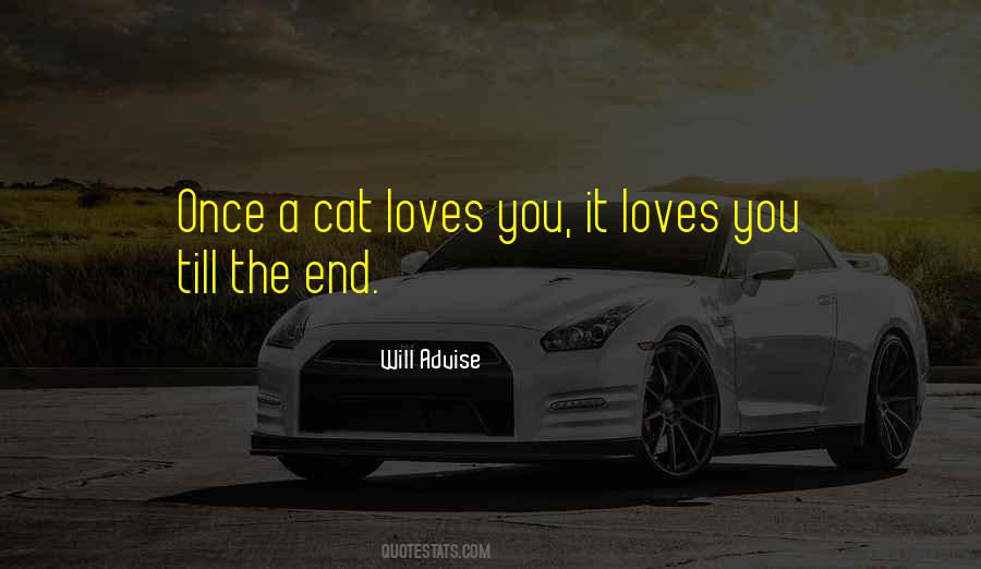 Quotes About Love Till The End #139026