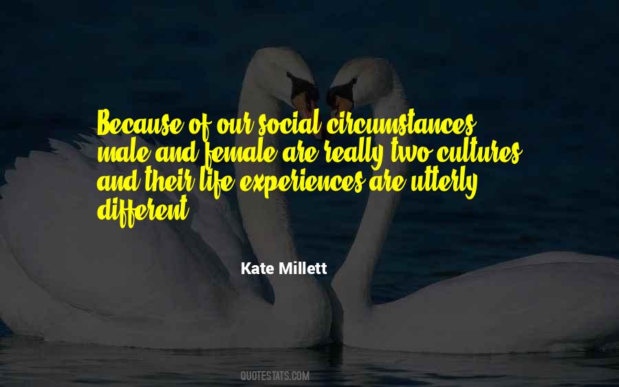 Two Cultures Quotes #1556413