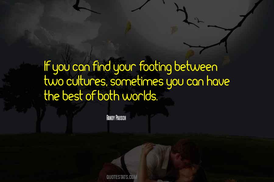 Two Cultures Quotes #796199
