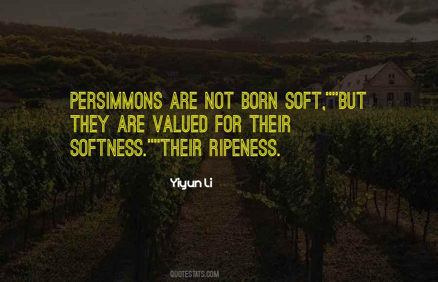 Quotes About Persimmons #469025
