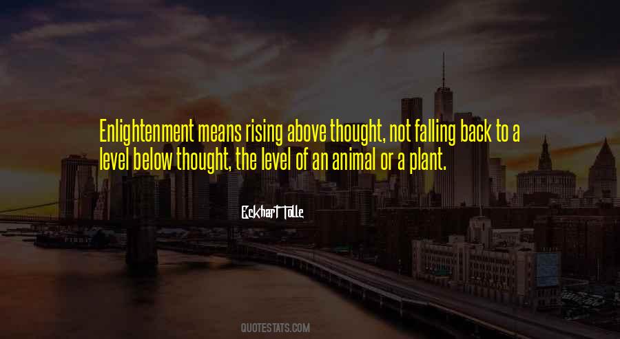 Quotes About Tropical Paradise #183279
