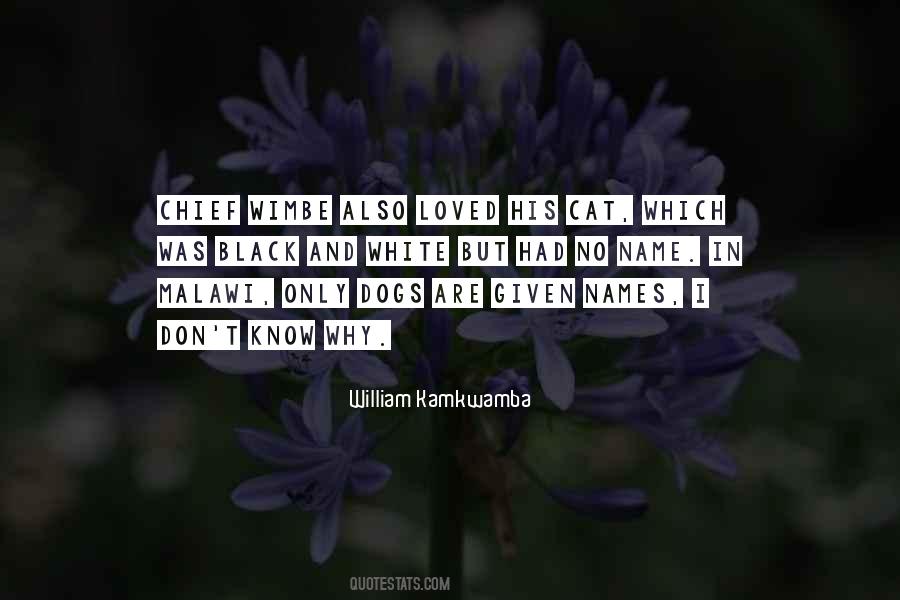 Quotes About White Cats #276710