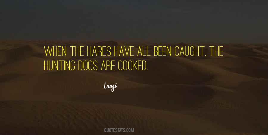 Quotes About Hares #1234350