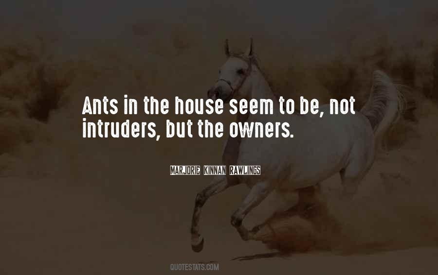 Quotes About Intruders #1652375