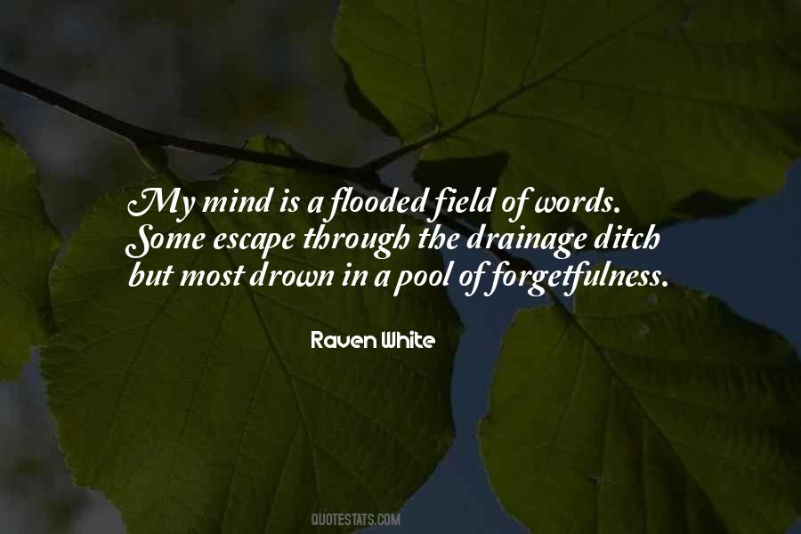 Mind Field Quotes #864708