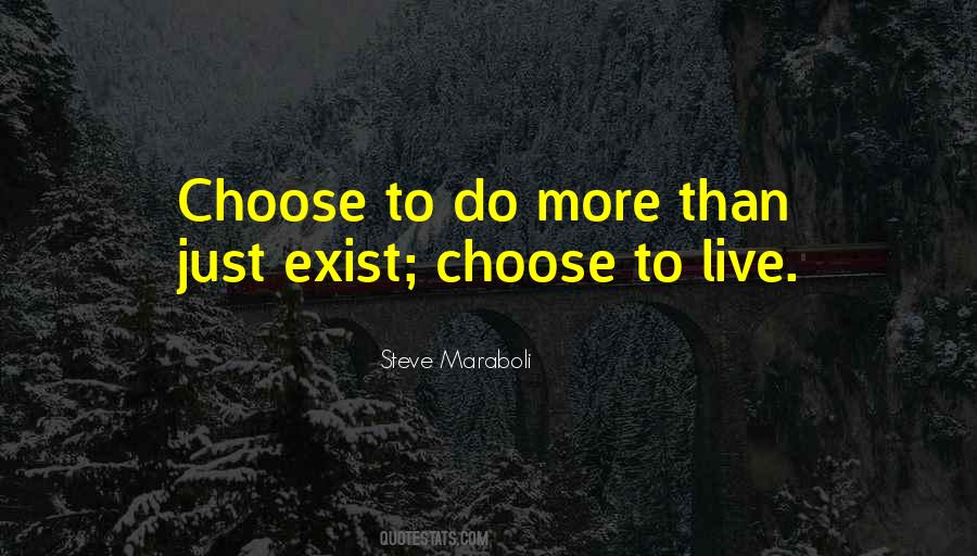 Success Happiness Quotes #130033