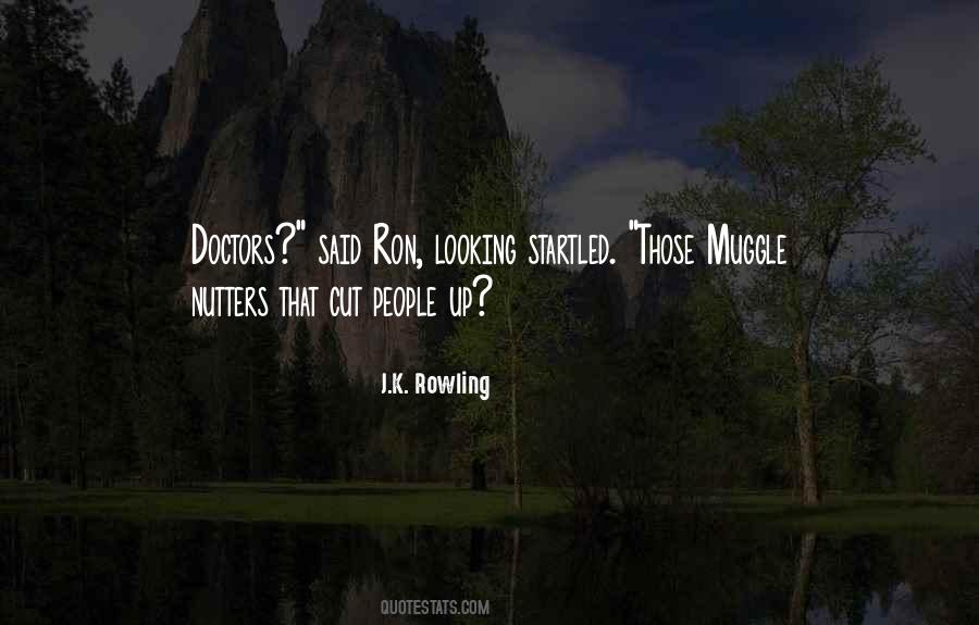 Quotes About Muggles #855502