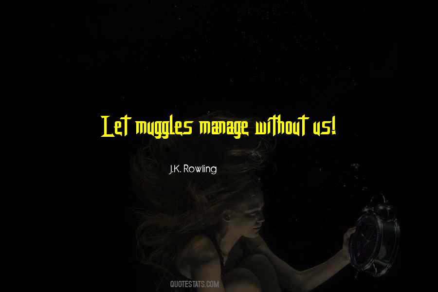 Quotes About Muggles #968169