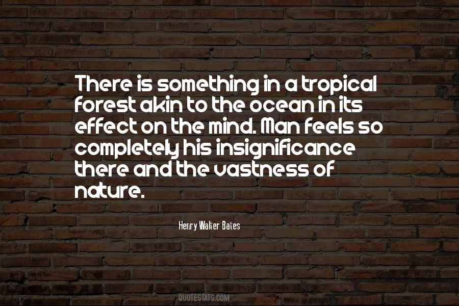 Quotes About The Vastness Of The Ocean #955577