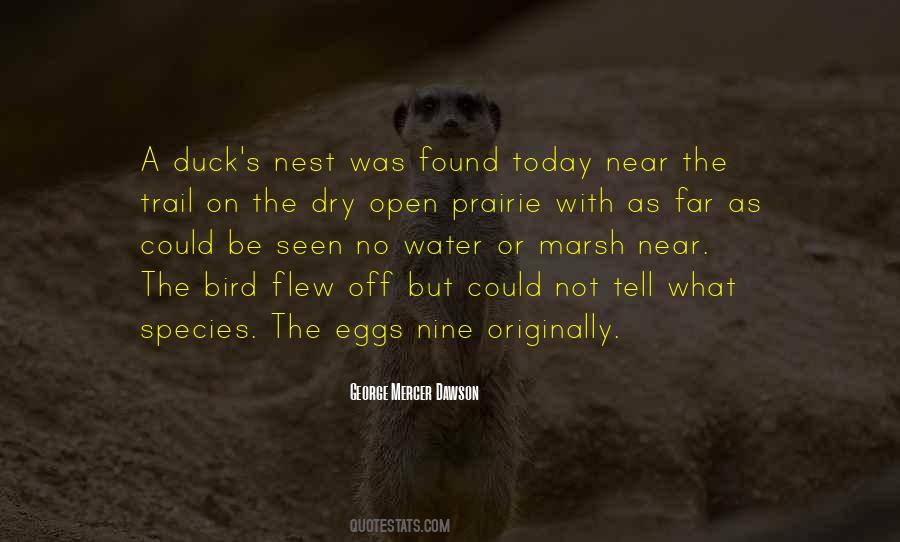 Quotes About Nest Eggs #113375