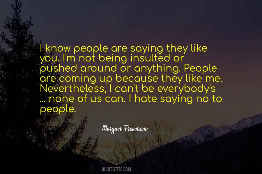 Quotes About Being Insulted #1272551