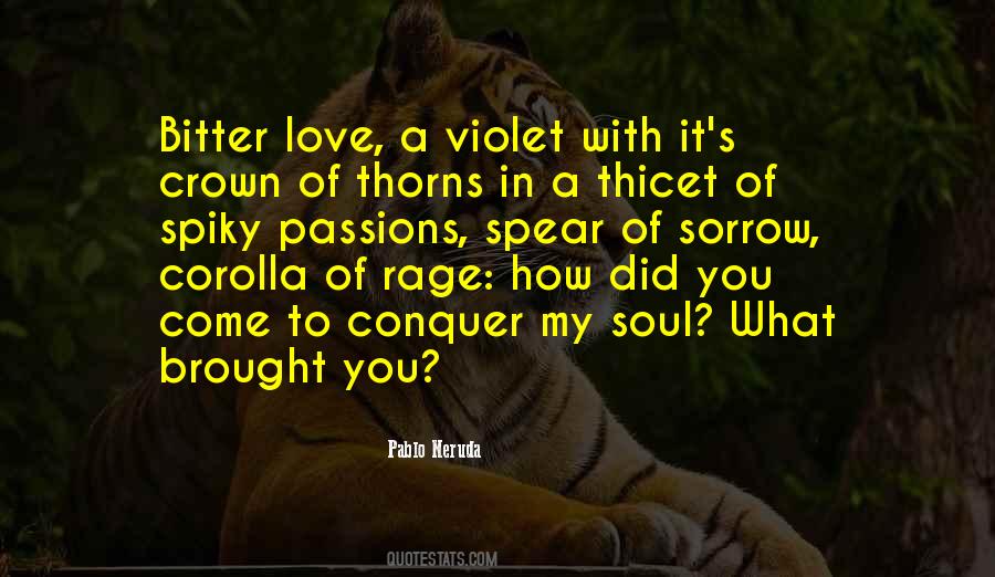 Quotes About Bitter Love #751186