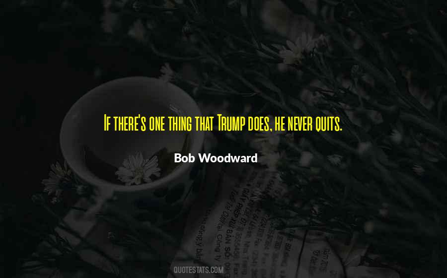 Quotes About Never Quitting #1379683