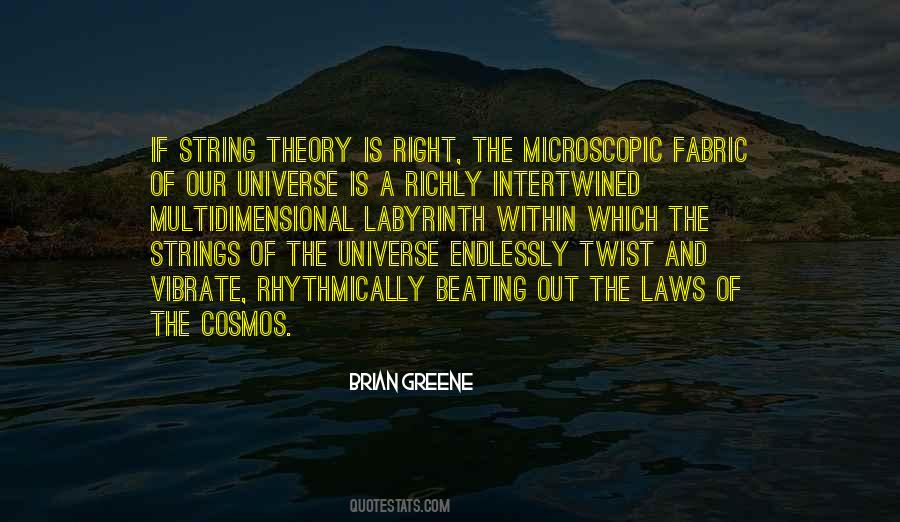 Quotes About String Theory #1597445