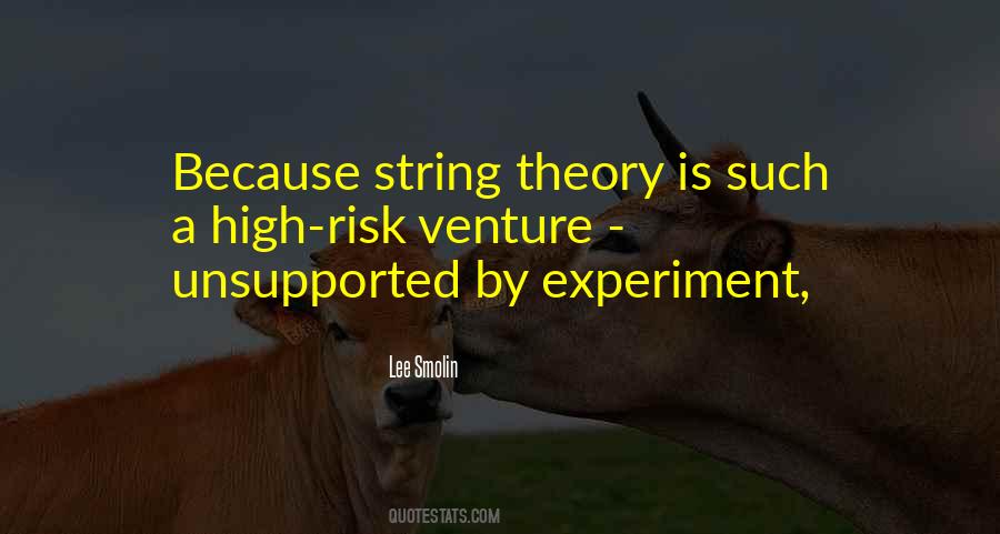 Quotes About String Theory #1830647