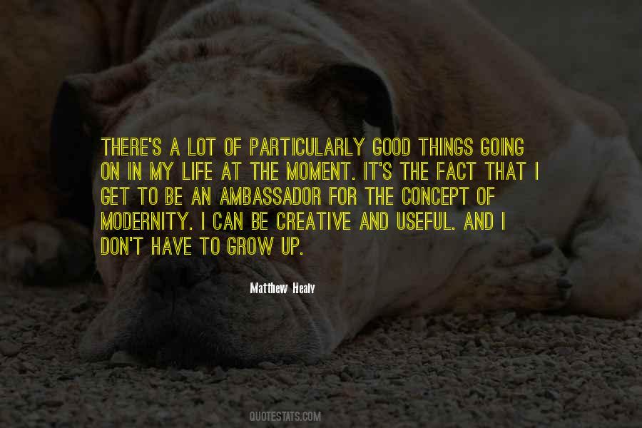 Quotes About Good Ambassadors #595084