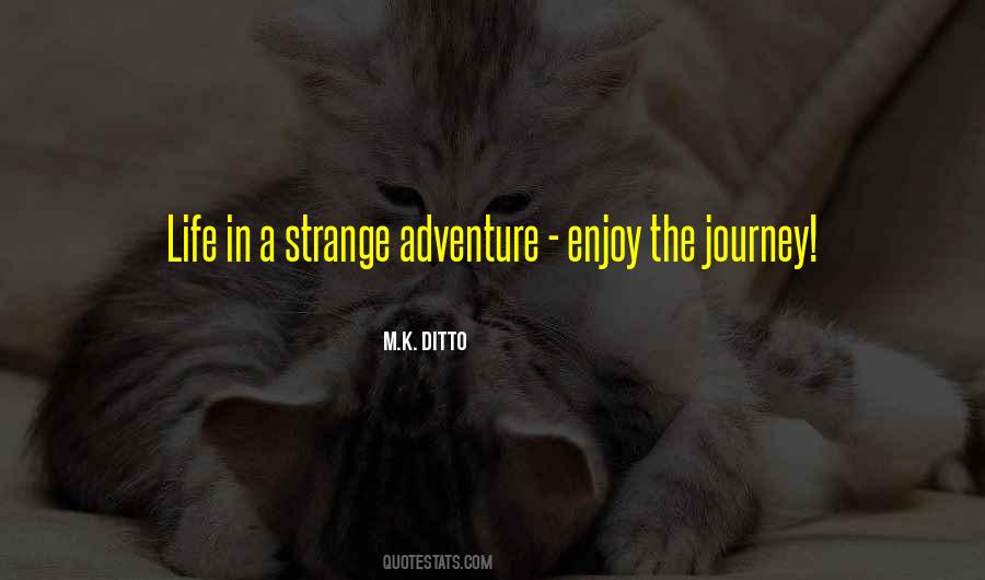 Enjoy The Adventure Quotes #594552