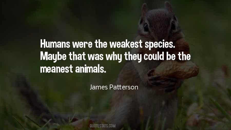 Quotes About The Weakest #1716412