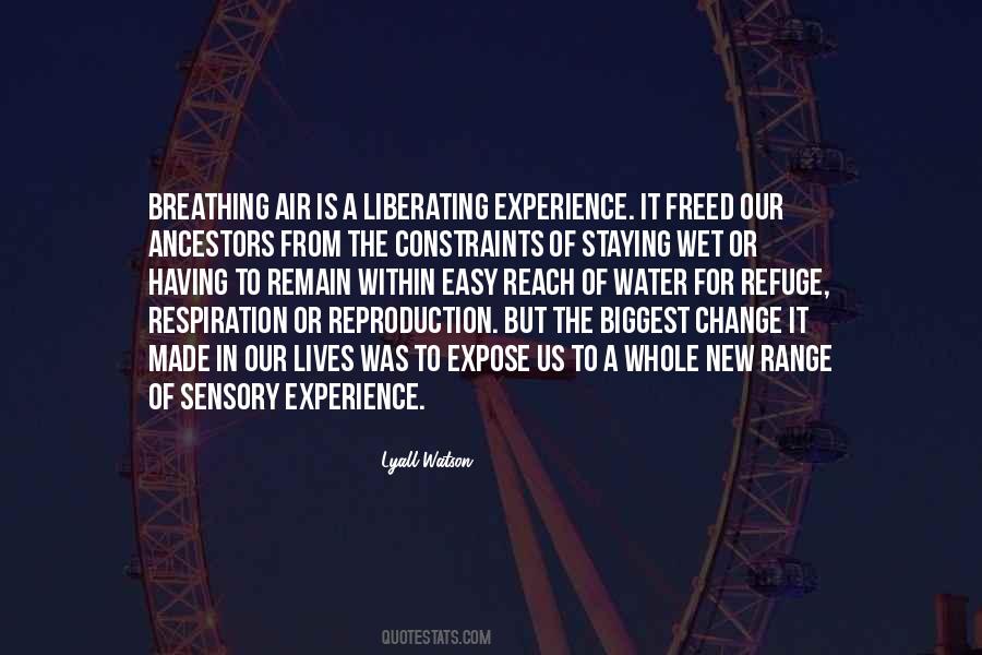 Sensory Experience Quotes #293008